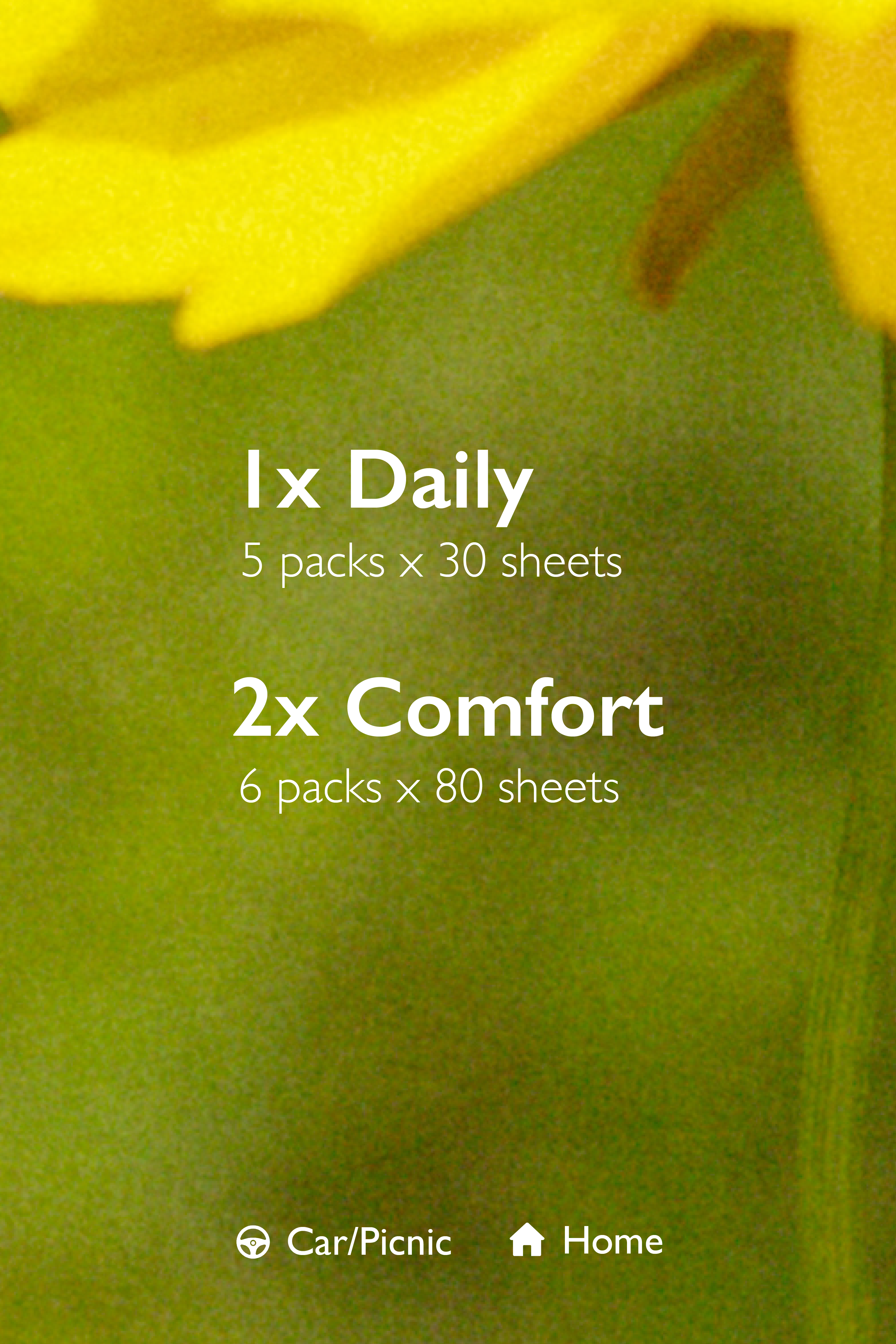 Roro Heart 2 Heart Bundle | 1 Daily + 2 Comfort